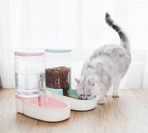 Automatic Drinking Fountain & Feeder