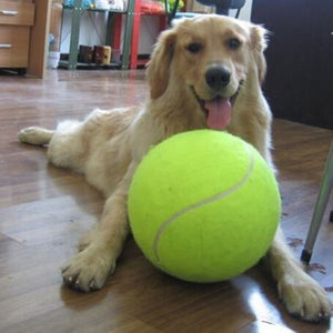 Oversized Pet Tennis Ball